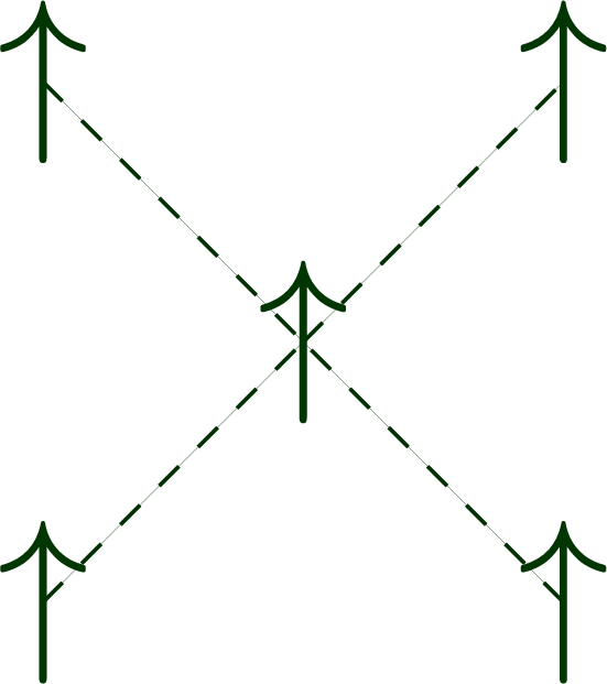 Transverse-field Ising model